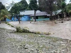 13 Rumah di Kupang Terendam Banjir, Warga Mengungsi tapi Tak Ada Bantuan 13 Rumah di Kupang Terendam Banjir, Warga Mengungsi tapi Tak Ada Bantuan