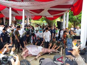 Ada Tradisi Betawi Andilan Potong Kebo Jelang Lebaran di Jakarta Ada Tradisi Betawi Andilan Potong Kebo Jelang Lebaran di Jakarta