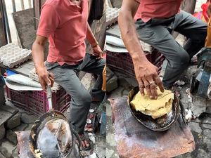 Duh! Penjual Ini Santai Buat Roti Telur Ditemani Puluhan Tikus Duh! Penjual Ini Santai Buat Roti Telur Ditemani Puluhan Tikus