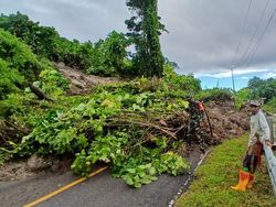 Longsor Terjang Jalan Trans Sulawesi di Gorontalo Utara, Jalur Mudik Lumpuh
