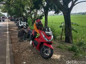 Sejuknya Bahu Jalan Pantura Indramayu Jadi Pilihan Narsun Istirahat