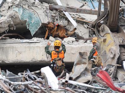 Anjing Pelacak Dikerahkan Cari Korban Gedung Runtuh Imbas Gempa di Thailand