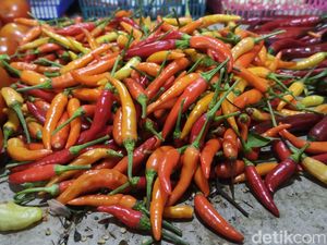 Harga Sembako Jatim Hari Ini, Cabai Besar Turun dan Rawit Naik Harga Sembako Jatim Hari Ini, Cabai Besar Turun dan Rawit Naik