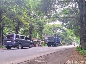 Ini Titik Rawan Bencana di Jalur Pantura Situbondo Ini Titik Rawan Bencana di Jalur Pantura Situbondo
