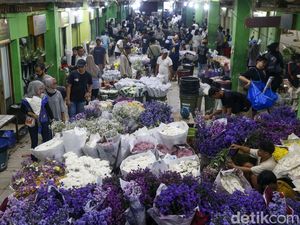 Jelang Lebaran, Pasar Bunga Rawa Belong Diserbu Warga Jelang Lebaran, Pasar Bunga Rawa Belong Diserbu Warga