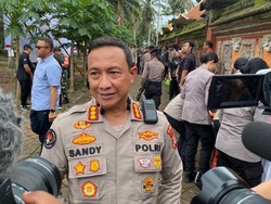 Pro Kontra Legalisasi Tajen di Bali, Polda Tegaskan Tetap Tindak Perjudian