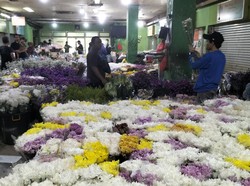 Harga Bunga Lili Meroket Jelang Lebaran, 5 Batang Dijual Rp 300 Ribu
