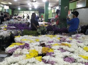 Berburu Sedap Malam hingga Lapis Legit Viral Jelang Lebaran Berburu Sedap Malam hingga Lapis Legit Viral Jelang Lebaran
