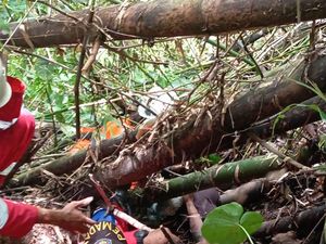 Mbah Dalinem yang Sempat Tersangkut di Jurang Klaten Akhirnya Meninggal Mbah Dalinem yang Sempat Tersangkut di Jurang Klaten Akhirnya Meninggal