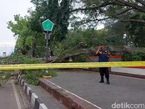 Tragedi Beringin Tumbang Timpa Jemaah Salat Id-Tewaskan 3 Orang di Pemalang Tragedi Beringin Tumbang Timpa Jemaah Salat Id-Tewaskan 3 Orang di Pemalang