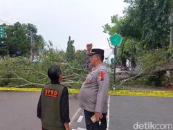Penampakan Beringin Tumbang Tewaskan 2 Jemaah Salat Id di Alun-alun Pemalang
