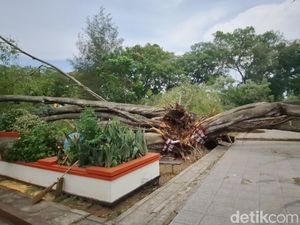 Korban Tewas Tertimpa Beringin Saat Salat Id di Pemalang Jadi 3 Orang