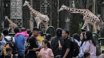 Temukan Keajaiban Libur Idul Adha: Jam Buka Monas, TMII, dan Ragunan yang Wajib Diketahui!