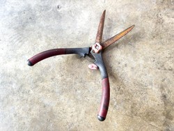 Mudah! 4 Bahan di Rumah Ini Bisa Bersihkan Karat