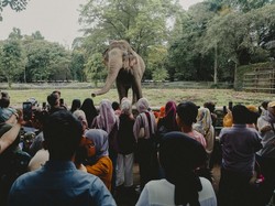 Harga Tiket Masuk TMII, Ragunan, hingga Ancol di Libur Lebaran 2025