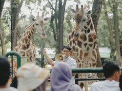 Video: Suasana Taman Margasatwa Ragunan di Penghujung Libur Lebaran