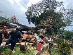 Pohon Tumbang Timpa Jemaah Salat Id, Kemensos Cari Ahli Waris 3 Korban
