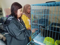 Jasa Penitipan Hewan Peliharaan di Kota Probolinggo Diserbu Warga