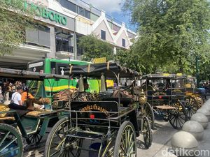 Klarifikasi Paguyuban Andong Jogja soal Bau Pesing di Malioboro Klarifikasi Paguyuban Andong Jogja soal Bau Pesing di Malioboro