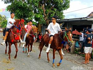 Tradisi Tiyu di Lombok Timur, Pawai Kuda di Momen Lebaran Tradisi Tiyu di Lombok Timur, Pawai Kuda di Momen Lebaran