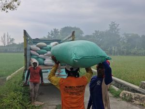 Bulog Mojokerto Gaspol Serap Gabah Petani Demi Jaga Harga Gabah Kering Panen Bulog Mojokerto Gaspol Serap Gabah Petani Demi Jaga Harga Gabah Kering Panen