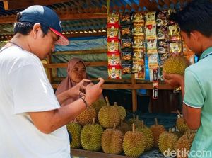 Pedagang Durian Raup Untung Besar di Momen Libur Lebaran Pedagang Durian Raup Untung Besar di Momen Libur Lebaran
