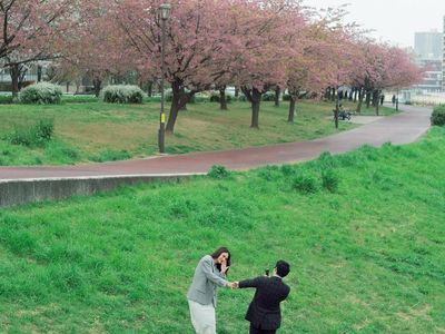 Indahnya Bunga Sakura Bermekaran Serupa Cinta Luna Maya yang Mekar di Jepang