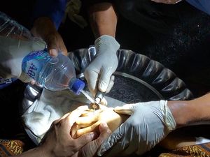 Momen Mendebarkan Damkar Tarakan Evakuasi Cincin di Jari Jenazah