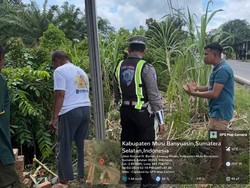 Mobil Agya Masuk Semak-semak di Sumsel, Diduga Sopir Kurang Konsentrasi