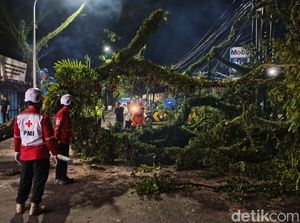 2 Orang Terluka gegara Tertimpa Pohon Tumbang di Cianjur 2 Orang Terluka gegara Tertimpa Pohon Tumbang di Cianjur