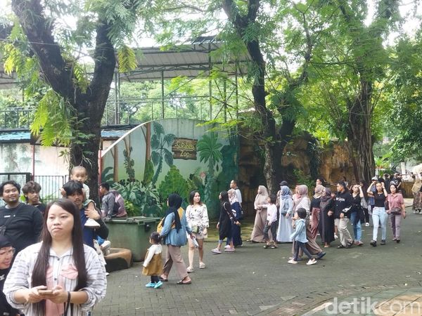 Ramainya Kebun Binatang Surabaya di Hari Ketiga Lebaran
