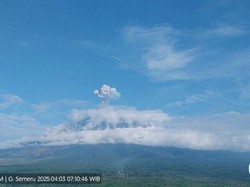 Gunung Semeru Erupsi Pagi Ini, Muntahkan Abu Setinggi 900 Meter