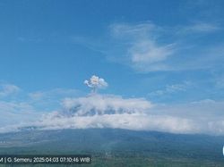 Gunung Semeru Erupsi Pagi Ini, Muntahkan Abu Setinggi 900 Meter Gunung Semeru Erupsi Pagi Ini, Muntahkan Abu Setinggi 900 Meter