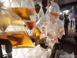Pasar Ikan Muara dan Alternatif Liburan Edukatif di Bandung