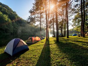Liburan Berujung Duka: Wisatawan Cilik Tewas Tertimpa Pohon Pinus di Sekipan