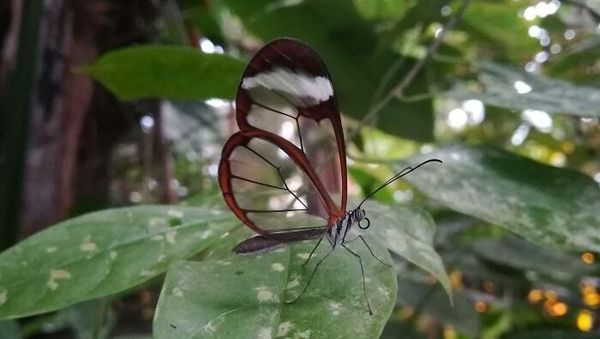 Kumpulan Foto yang Tak Disangka Benar-benar Ada, Unik Juga