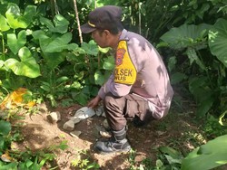 Viral Patung Bunda Maria Dikuburkan dengan Kepala Tegak di Manggarai Barat