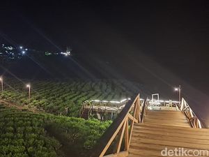 Menikmati Segelas Kopi Saat Malam Hari di Wisata Bukit Tungguan Pagar Alam