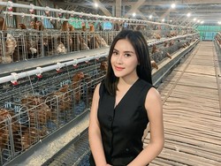 Vriska Icha Bisnis Ternak Ayam, Ungkap Tujuan Mulia