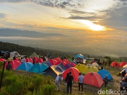 Menikmati Indahnya Pagar Alam dari Ketinggian di Kebun Raya Dempo