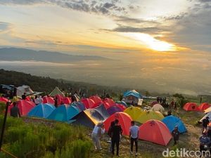 Menikmati Indahnya Pagar Alam dari Ketinggian di Kebun Raya Dempo Menikmati Indahnya Pagar Alam dari Ketinggian di Kebun Raya Dempo