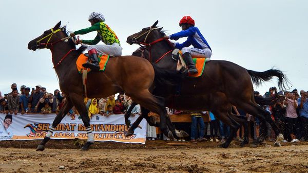 Pacuan Kuda Meriahkan Lebaran di Padang Pariaman