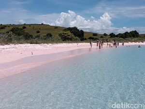 Menyusuri Pantai Pink Lambu, Primadona Turis Mancanegara di Bima Menyusuri Pantai Pink Lambu, Primadona Turis Mancanegara di Bima