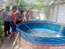 Polisi Sidoarjo Budi Daya Lele dan Kelinci untuk Ketahanan Pangan