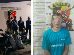 Pria di Ogan Ilir Ditangkap Polisi karena Curi Bibi Sawit dan Kurma