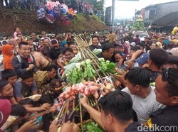 Berebut Sayuran Hasil Bumi Kirab Nyi Dapu, Warga Boja Berharap Berkah