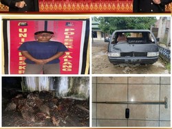 Marsik Diringkus Polisi Usai Curi 40 Tandan Sawit di PALI