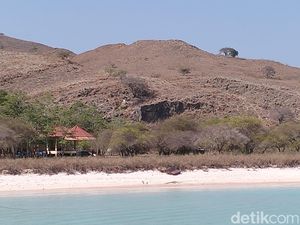 PT PHC dan TN Komodo Tegaskan Tak Larang Turis ke Pantai Utara Pulau Padar PT PHC dan TN Komodo Tegaskan Tak Larang Turis ke Pantai Utara Pulau Padar