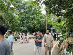 Kebun Raya Bogor Ramai Pengunjung di H+6 Lebaran, Begini Suasananya