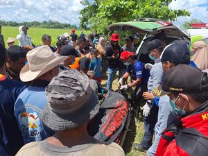 Pria Hilang Diterkam Buaya saat Cari Kerang di Sungai Konsel Ditemukan Tewas
